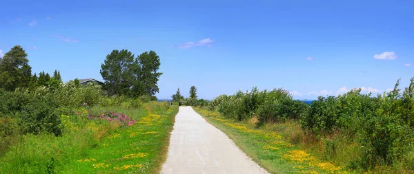 Scenic Bike Trail Mackinac Island — Stock Photo, Image