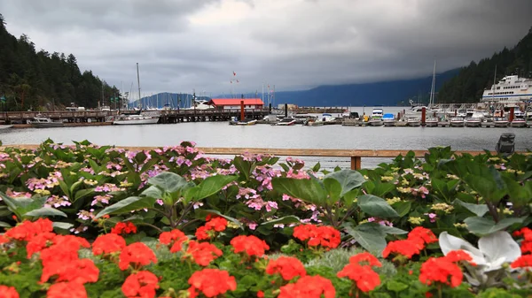 Horseshoe Bay Julio 2019 Ferry Cruise Harbor Horseshoe Bay British — Foto de Stock