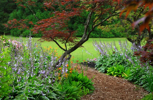 Vandusen Jardins Botânicos Cidade Vancouver — Fotografia de Stock