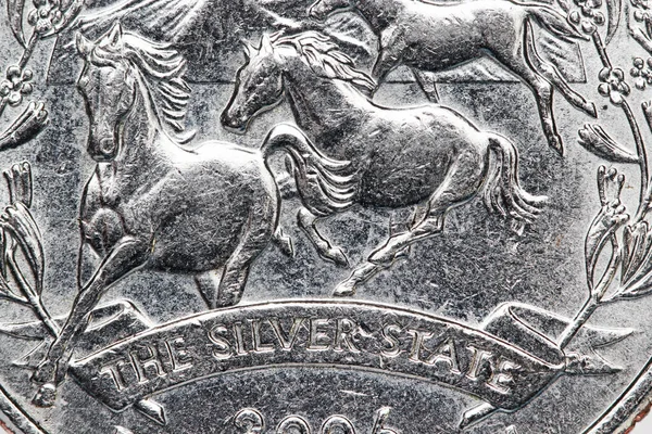 Монета American Quarter Крупным Планом Символом Невады — стоковое фото