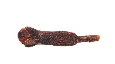 Beyaz arkaplanda tek karanfil yakın çekim