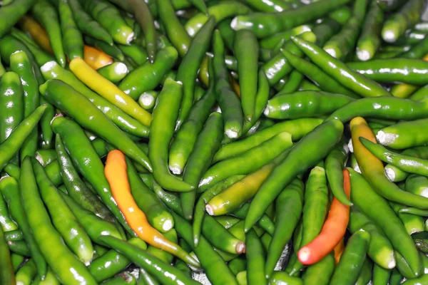 Spicy Fresh Thin Long Green Chilies — Stock Photo, Image