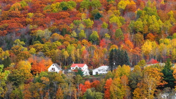 加拿大魁北克155号风景秀丽的公路沿线魁北克山区的落叶 — 图库照片