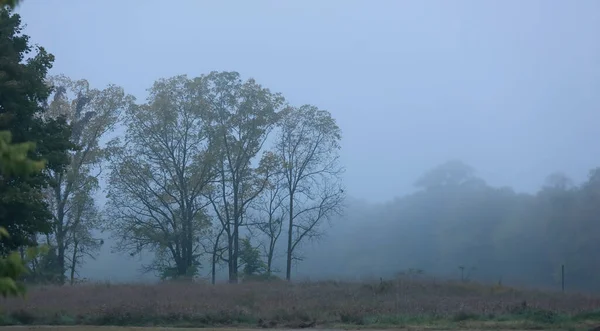 Szenische Landschaft Morgennebel Frühherbst — Stockfoto