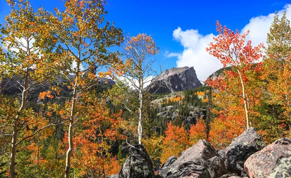 Colorado Daki Renkli Aspen Ağaçları Sonbaharda Kayalık Dağlar — Stok fotoğraf