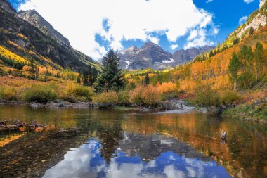 Aspen, Colorado yakınlarındaki kestane rengi çan manzarası