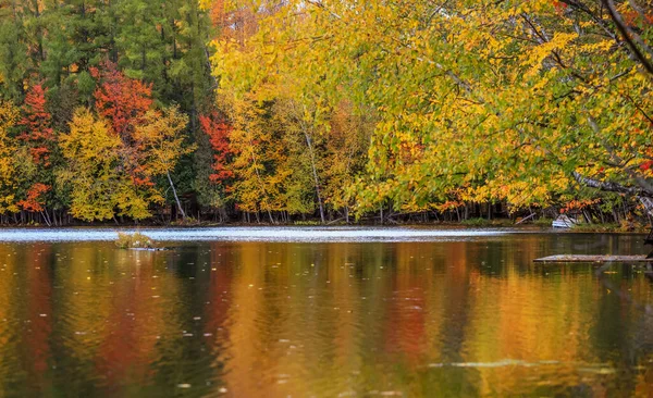Осіннє Дерево Відбивається Lac Chat Mont Tremblant National Park — стокове фото