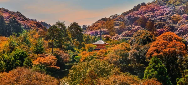 Panoramatický Pohled Historické Chrámy Kjótu Pohled Chrámu Kiyomizudera — Stock fotografie