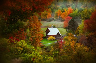 Vermont kırsalında sonbahar yaprakları arasına yerleştirilmiş bir ahır.