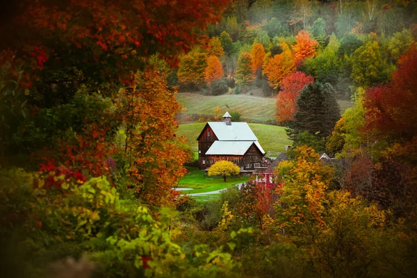 佛蒙特州农村的谷仓坐落在秋天的落叶之间 — 图库照片