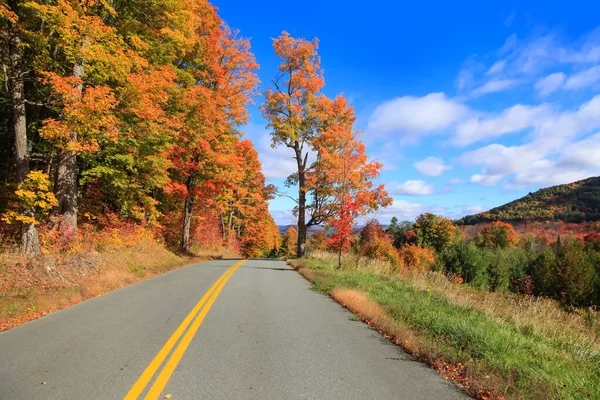 Coloridos Árboles Otoño Junto Carretera Rural Vermont — Foto de Stock