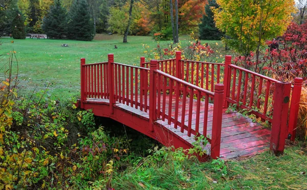 Small red bridge in a park during autumn time
