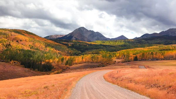 Kleurrijke Aspen Bomen Herfst Bij San Juan Mountains Colorado — Stockfoto