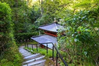 Kyoto, Japonya - 8 Ağustos 2019: Kyoto şehrindeki tarihi Otagi Nenbutsuji tapınağı, etrafında yaklaşık 1200 taş oyma heykeli.