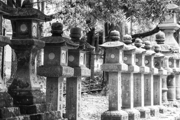 Nara Japan Серпня 2019 Rock Lanterns Nara Park Japan — стокове фото