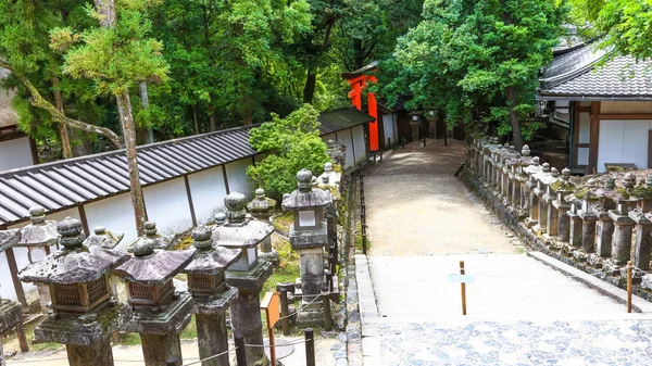 Nara Japon Août 2019 Lanternes Rocheuses Dans Parc Nara Japon — Photo