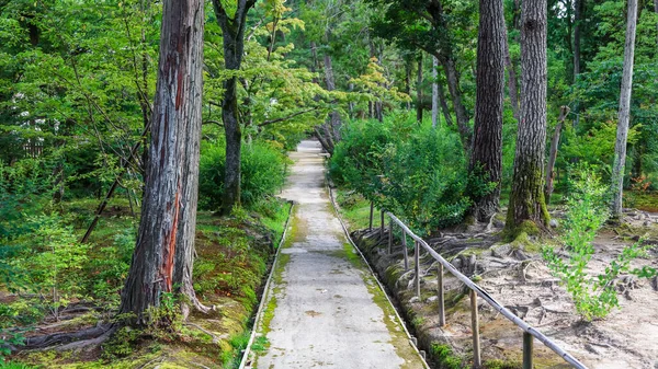 Дорога Деревья Буддийском Саду Toshodai Нара Япония — стоковое фото