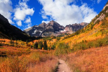 Aspen ağaçları Colorado 'daki Maroon çan dağlarında yapraklanır.