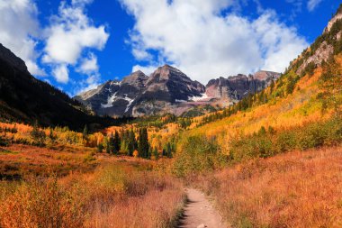 Aspen trees fall foliage at Maroon bells mountains in Colorado clipart