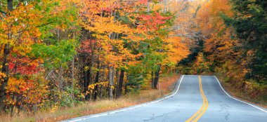 New Hampshire manzaralı yol boyunca renkli sonbahar ağaçları