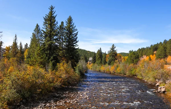 Őszi Lombozat Patak Colorado Sziklás Hegyek — Stock Fotó