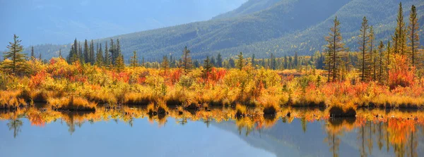 Panoraamanäkymät Syksyn Pensaat Puut Vermilion Järvillä Albertassa Kanadassa — kuvapankkivalokuva