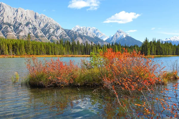 Kanada Alberta Daki Kananaskis Gölünde Renkli Sonbahar Çalılığı — Stok fotoğraf