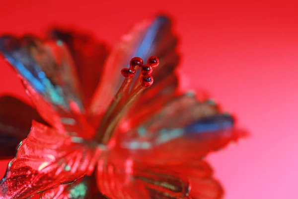 Gros Plan Fleur Décorative Métallique Illuminée Sous Des Lumières Colorées — Photo