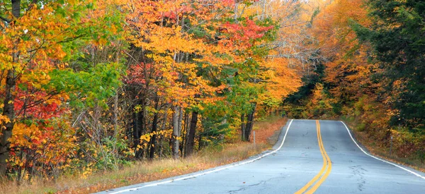 Coloridos Árboles Otoño Largo Ruta Escénica New Hampshire — Foto de Stock