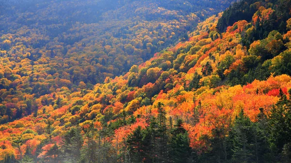 Folhagem Outono Colorido Rural New Hampshire — Fotografia de Stock