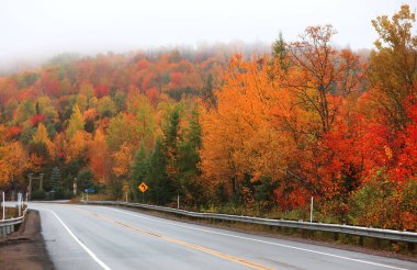 Quebec kırsalındaki Scenic karayolunun yanındaki renkli sonbahar ağaçları 