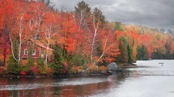 Alberi Autunnali Colorati Sulla Riva Del Lago Nel Quebec Rurale — Foto Stock