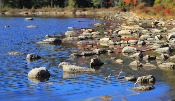 Gros Plan Des Rochers Dans Eau Bord Lac — Photo