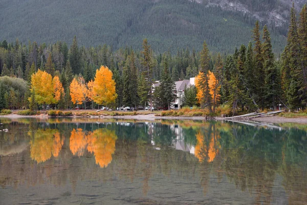 カナダのアルバータ州バンフ市近くのボウ川による紅葉 — ストック写真