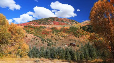 Colorado kırsalındaki dağın tepesine yapraklar dökülüyor.