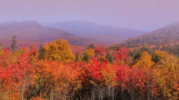 Árboles Coloridos Arce Abedul Colinas Onduladas Zona Rural New Hampshire —  Fotos de Stock