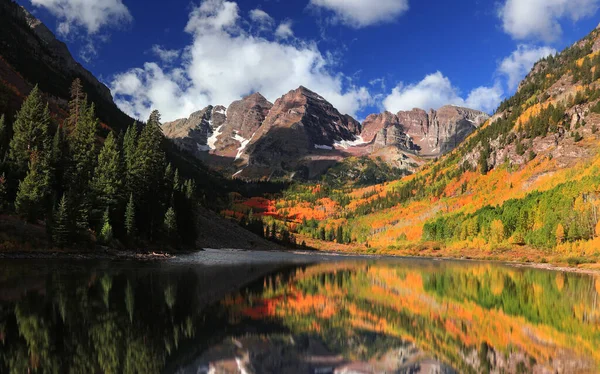 Colorado Manzaralı Kestane Rengi Çanların Yaprakları Dökülüyor — Stok fotoğraf