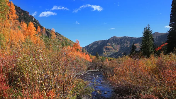 Colorado Daki Kayalık Dağlarda Akan Akarsulardan Renkli Çalılar — Stok fotoğraf