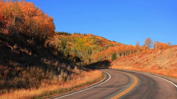 科罗拉多州岩石山中的风景133道 周围是落叶 — 图库照片