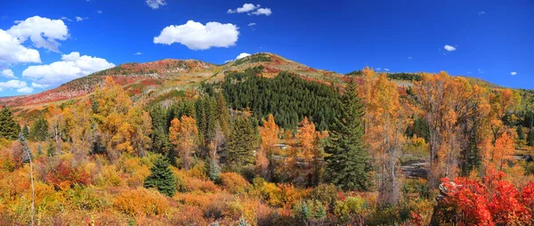 Bunte Herbstbäume Fuße Der Felsigen Berge Colorados — Stockfoto