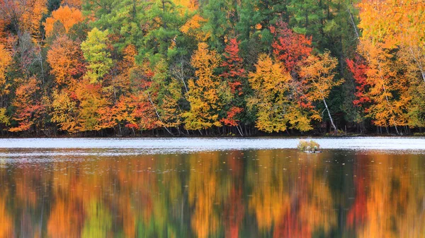 秋天的风景湖岸 — 图库照片