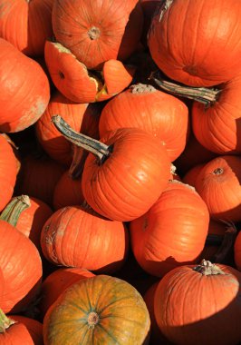 Pazar yerinde birkaç balkabağı yakın çekim