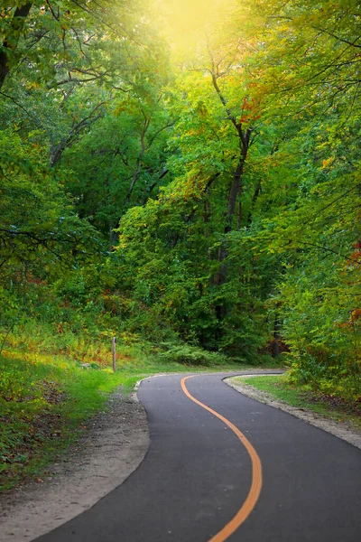 Пышные Зеленые Деревья Вдоль Живописной Велосипедной Дорожки Сельской Местности Мичигана — стоковое фото