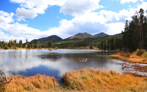 Jehličnaté Stromy Podle Malebného Sprague Jezera Venkově Colorado — Stock fotografie