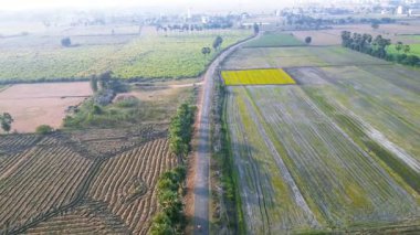 Hindistan 'da Andhra Pradesh eyaletinin Vijayawada yakınlarındaki yemyeşil çeltik tarlalarıyla çevrili küçük bir köyün hava manzarası..