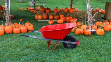 Red cart and pumpkins arrangement in the lawn at the farm in Michigan.