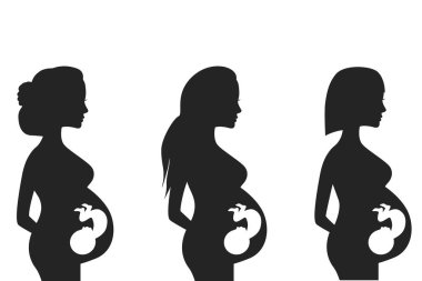 Pediatrik ultrason, sonografi ya da ultrason düz tabela. Hamile kız, rahim. Beyaz arkaplanda izole