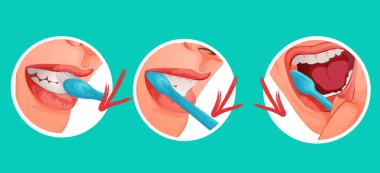 Diş lerinizi düzgün fırçalamak için nasıl vektör görüntü diş hekimi tavsiyesi