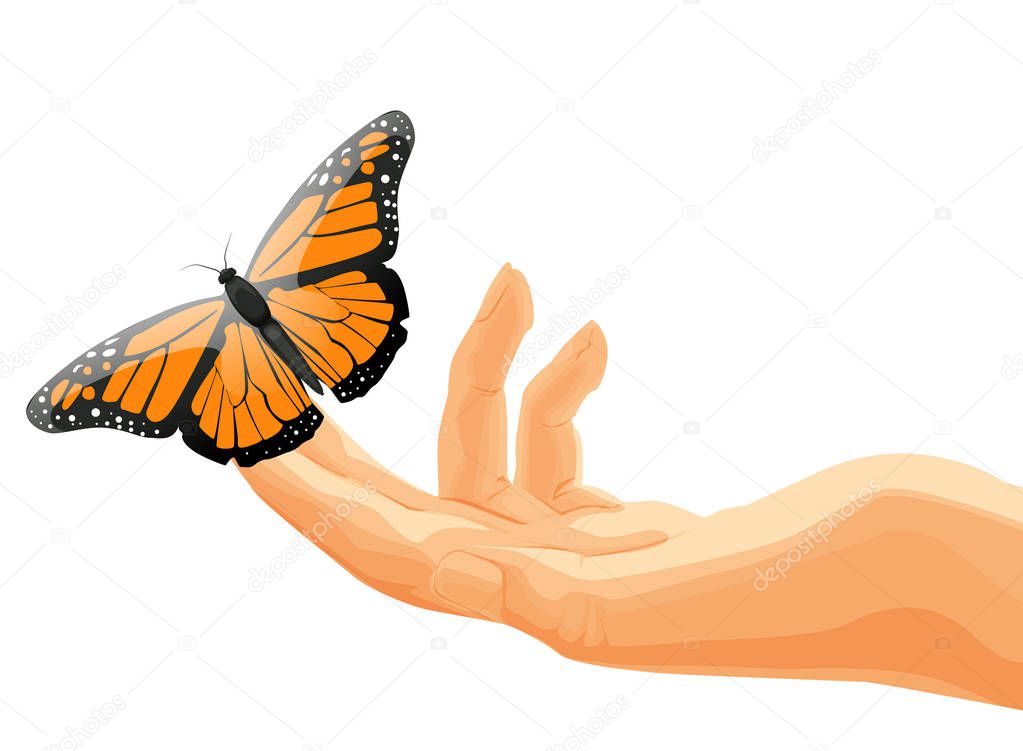 Butterfly vector illustration isolated nature animals at the woman hand