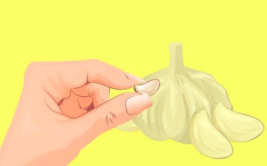 Tüm olgun sebze acı beyaz sarımsak için soyut vektör illüstrasyon logosu, arka planda dilimlenmiş doğranmış gıdalar.